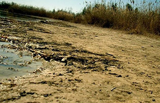 40 Iranian wetlands have dried up from 20 to 100 percent